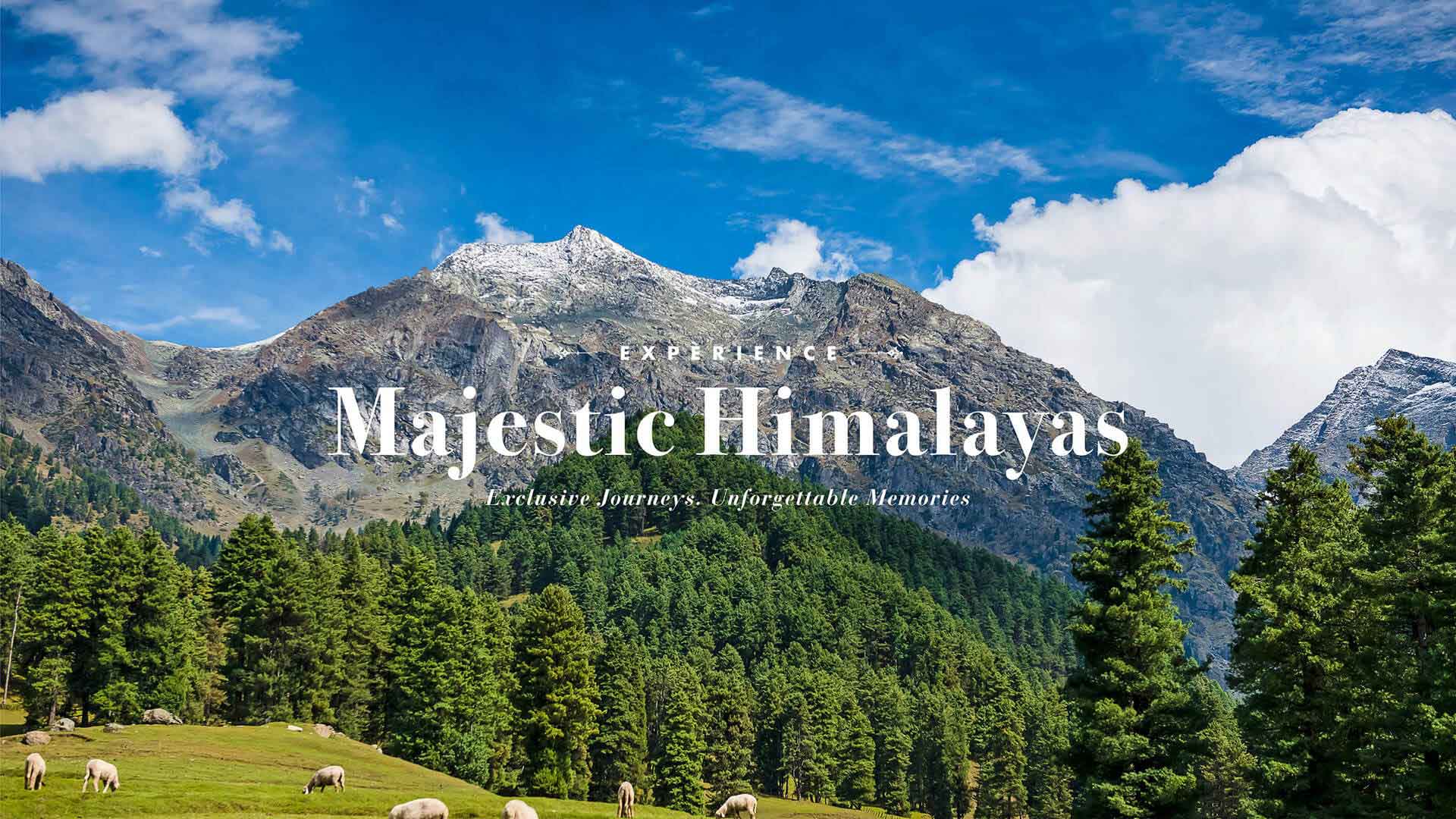 Himalayas Luxury Tour