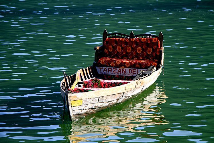 Shikara Dal Lake Kashmir