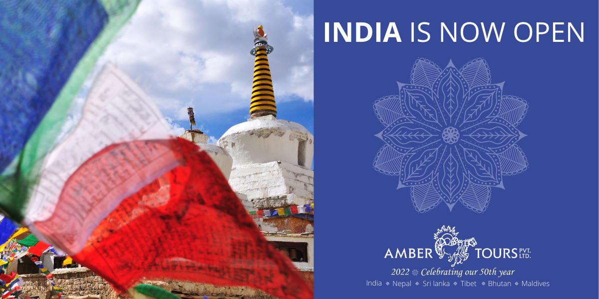 amber tours india